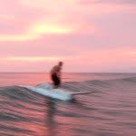 David Balding - @church_of_pineapple - Instagram