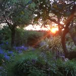 David Balding - @dave.balding - Instagram