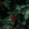 David Baldo - @invisibleworlddby - TikTok