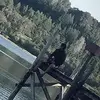 David Baldor - @davidbaldor - TikTok