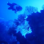 David Balk - @balkcloudy - Instagram
