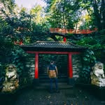 Bancsik Dávid - @davidbancsik - Instagram