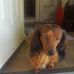 David Bangert - Facebook