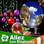 David Bani - @david.bani.961 - Instagram