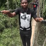 David Bani - @davidbani4 - Instagram