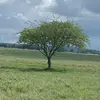 David Banic - @banic.david - TikTok