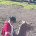 David Baño - Facebook