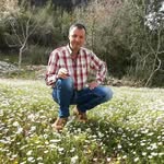 davidbano - @davidbano2772 - Instagram