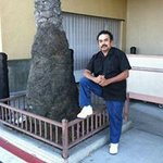 David Banuelos Padilla - @davidbanuelos - Instagram