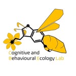 CBE-Lab - @david_baracchi - Instagram
