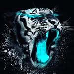 David - @david_barac_ - Instagram