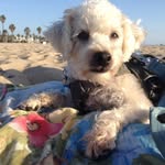 David Barad - @drbarad - Instagram