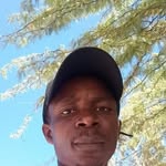 David Baradzi - @davidbaradzi - Instagram