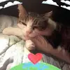 David Bardin227 - @davidbardin227 - TikTok
