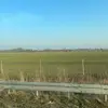 davidbarkani - @davidbarkani - TikTok