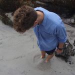 David Barnum - @sardinacalifornia - Instagram