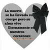 David Barrales - @david.barrales - TikTok