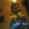 davidbarrales49 - @davidbarrales49 - TikTok