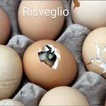 DavideGiusy Barresi - @davidegiusybarresi - Instagram