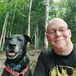 David Barrette - @zeligimitation - Instagram
