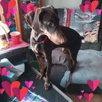 David Barrette - @david.barrette.7 - Instagram