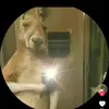David Barrientos - @david.barrientos0413 - TikTok