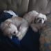 David Barski - Facebook