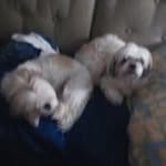 David D. Barski - @davidd.bars - Instagram