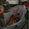 David Barteaux - @david.barteaux - TikTok