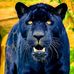 Biitee David - Facebook