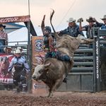 David Bartels - @david.bartels.545 - Instagram