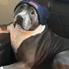 David Bartkus - @davidbartkus33 - TikTok