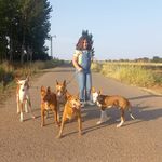 David Bartolome - @bartolome.david - Instagram