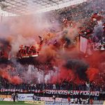 David Di Bartolomeo - @dawiddib - Instagram
