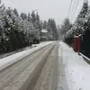 Davide Bartolomeo - @davide.bartolomeo - TikTok
