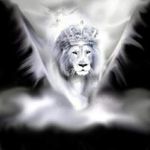 David Bartolucci - @david_bartolucci - Instagram
