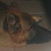 David Bartolucci - Facebook