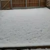 David Barton - @davidbarton0 - TikTok