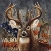 davidbartos338 - @davidbartos338 - TikTok