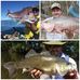 Dave Barwise - Facebook