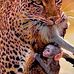 David Barz - Facebook