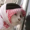 Basheer David - @basheerdavid - TikTok