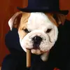 David Basiladze - @david.basiladze5 - TikTok