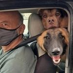 David Basinski - @david.basinski - Instagram