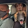 davidbasinski129 - @davidbasinski397 - TikTok