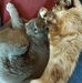 Dave Baskerville - Facebook