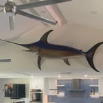 David Baskett - @60yellowfin - Instagram