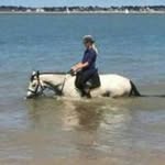 David Charles - @davidbastone - Instagram