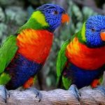 David Bastoni - @david.bastoni.507 - Instagram