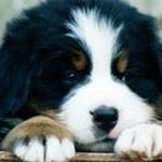 David Basye - @davidbasye - Instagram